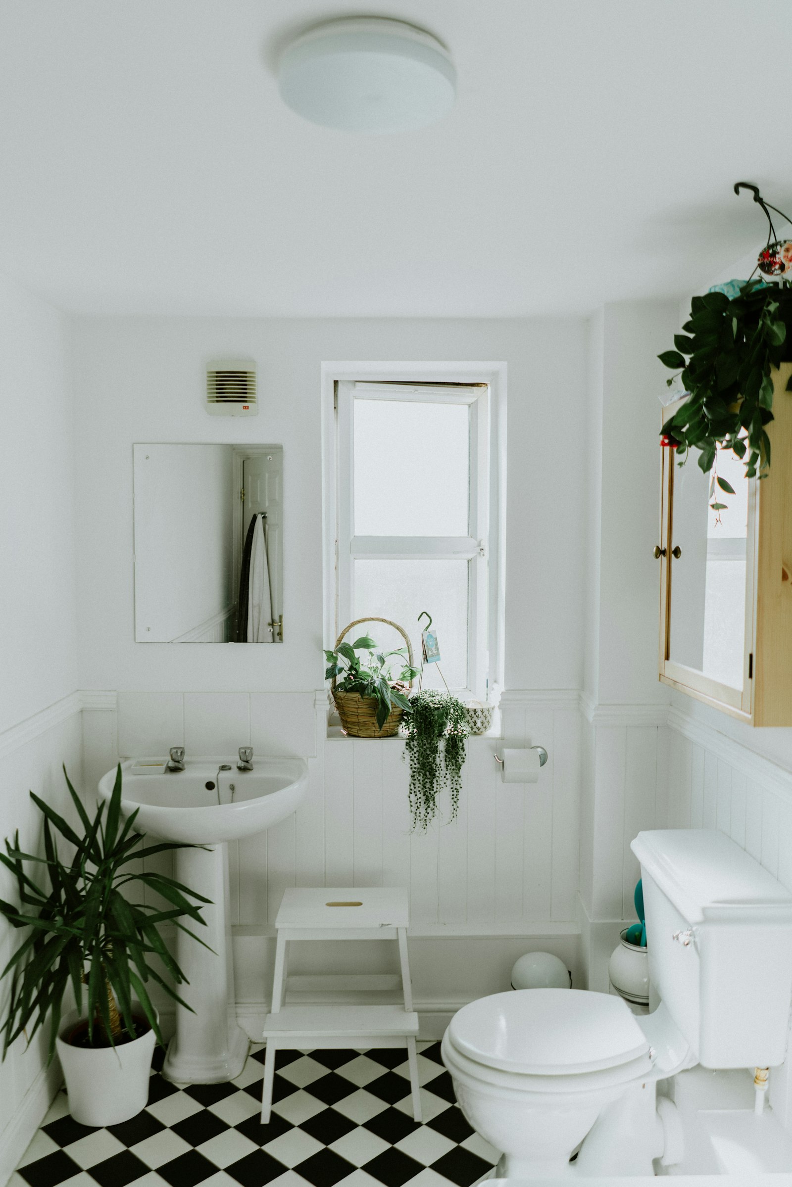 Primary bath — full plumbing rough